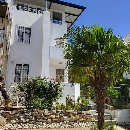 Vakantiehuis Center Private Holiday House *